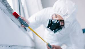 Professional Pest Control in Callender, CA